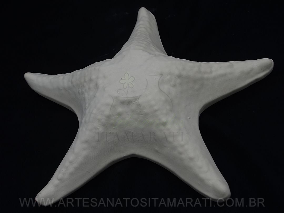 Detalhes do produto Estrela do Mar GD